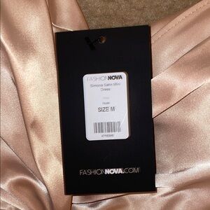 Fashion Nova Blush Satin Mini Dress
